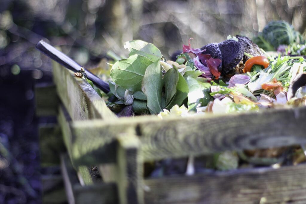 11 choses à ne surtout pas mettre dans votre compost