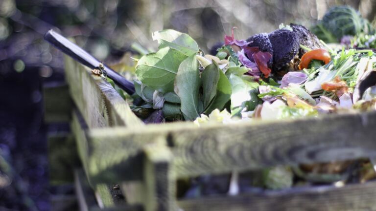 11 choses à ne surtout pas mettre dans votre compost