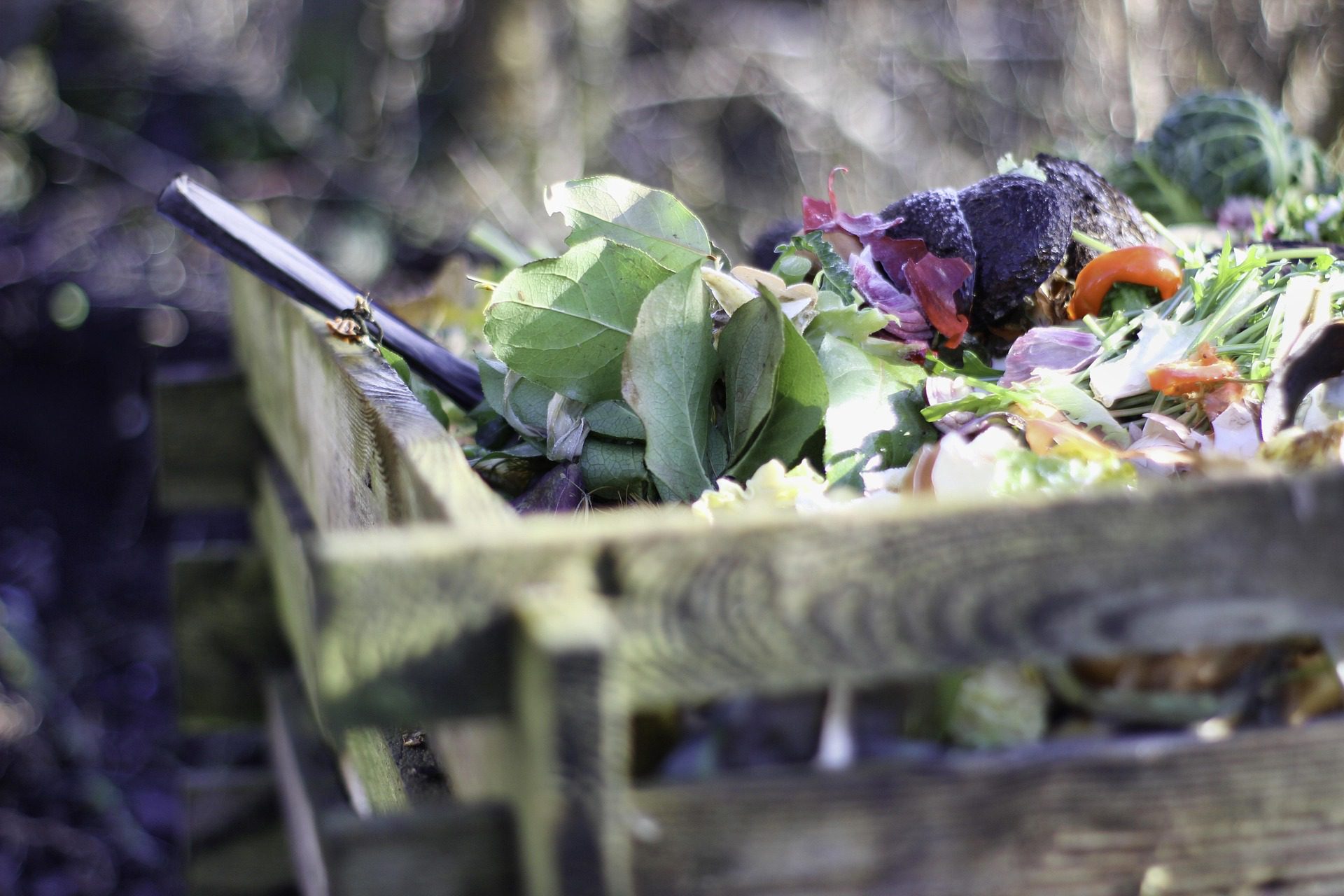 11 choses à ne surtout pas mettre dans votre compost