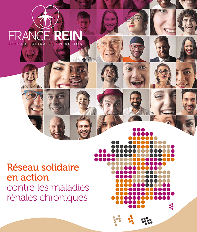 france reins