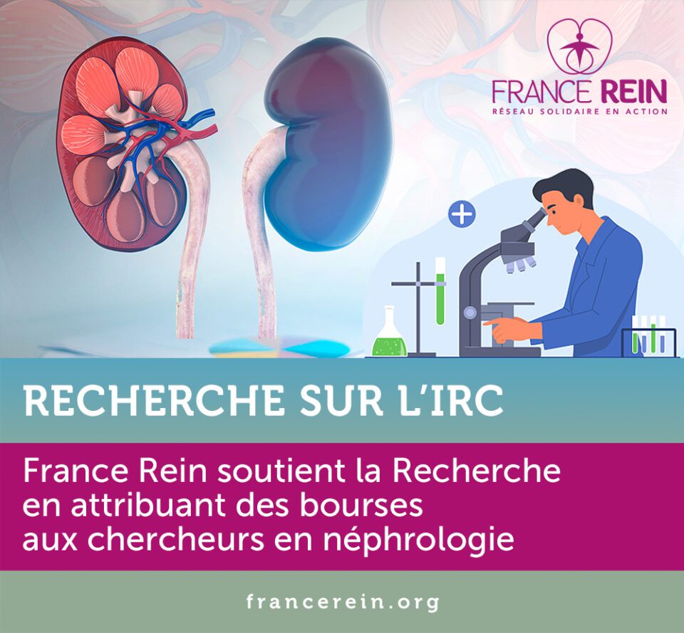 france reins